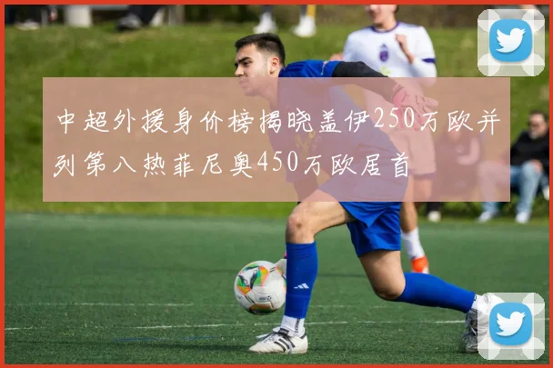 中超外援身价榜揭晓盖伊250万欧并列第八热菲尼奥450万欧居首