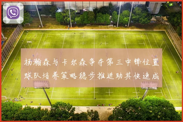 杨瀚森与卡尔森争夺第三中锋位置球队培养策略稳步推进助其快速成长