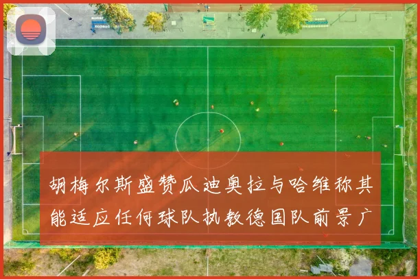 胡梅尔斯盛赞瓜迪奥拉与哈维称其能适应任何球队执教德国队前景广阔