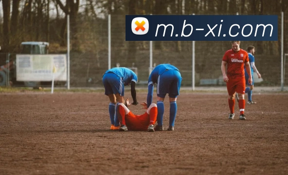 奖项证书